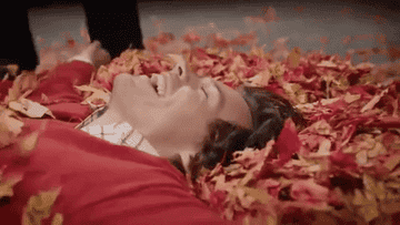 Harry Styles smiling in a pile of leaves