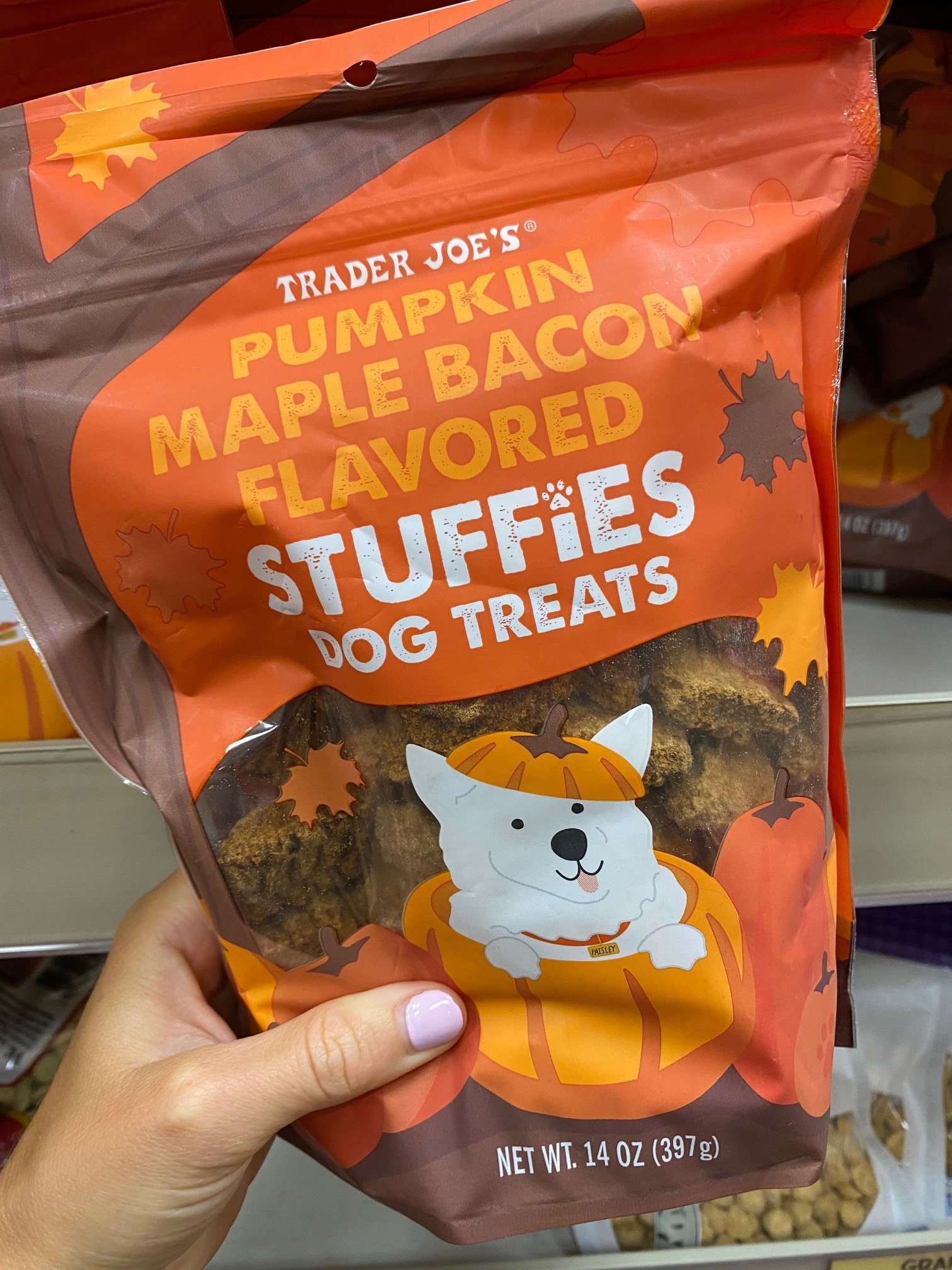 Pumpkin Maple Bacon Flavored Stuffies Dog Treats