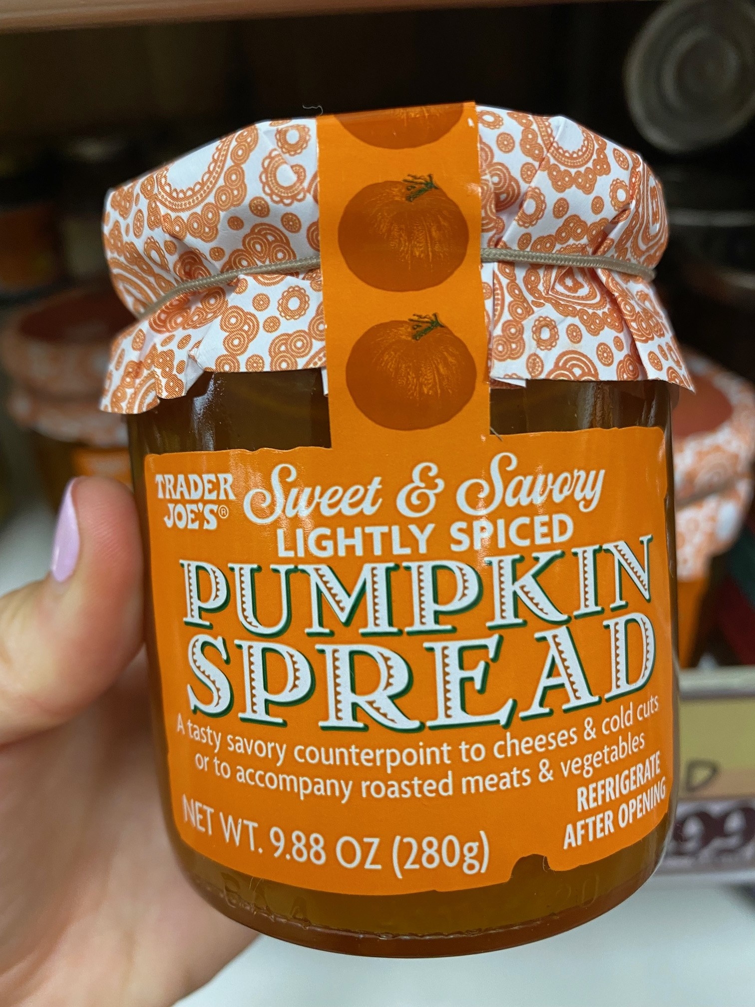 Sweet &amp;amp; Savory Lightly Spiced Pumpkin Spread