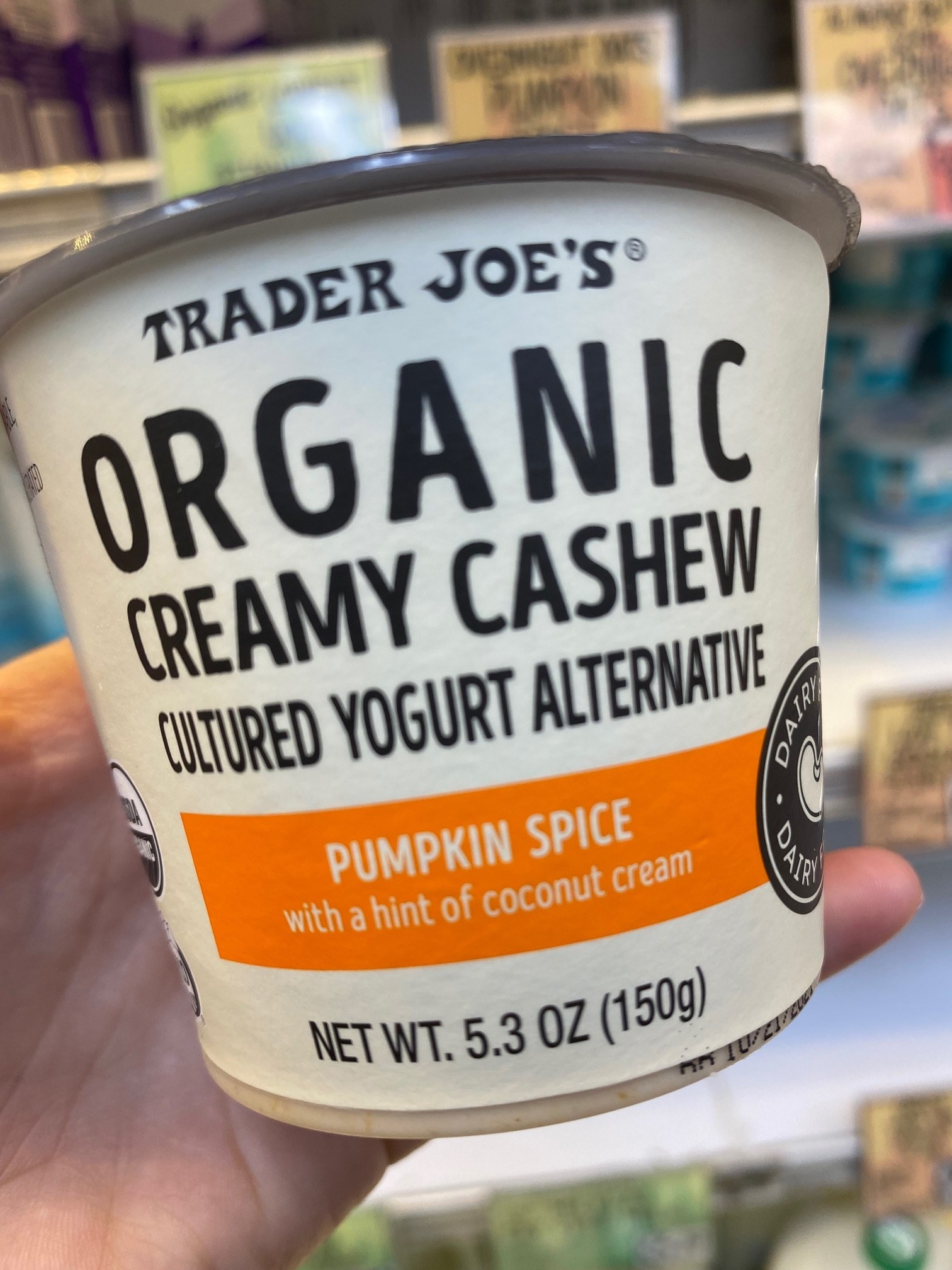 Organic Pumpkin Spice Creamy Cashew Yogurt Alternative