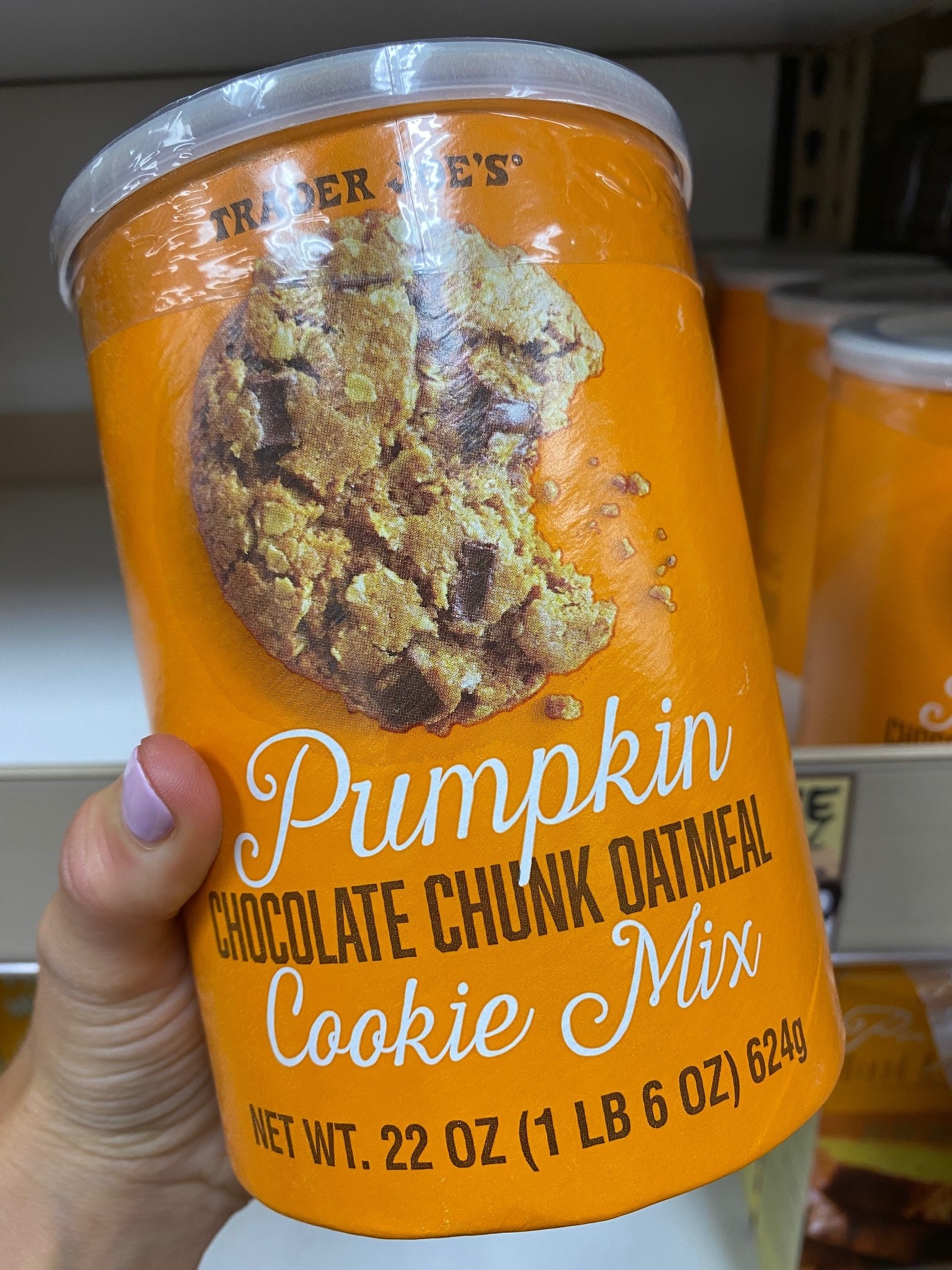 Pumpkin Chocolate Chunk Oatmeal Cookie Mix