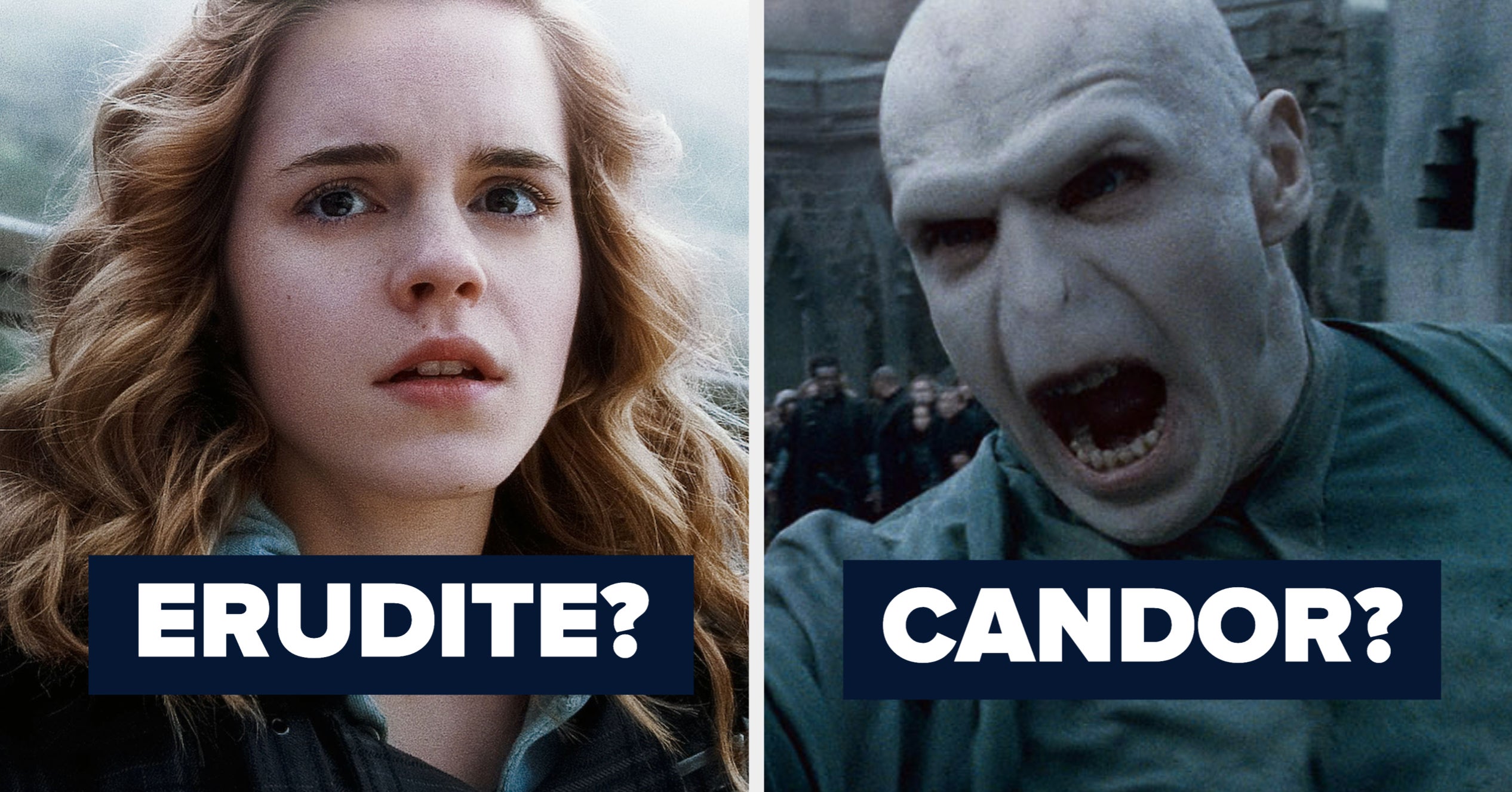 What Faction Would I Be In Divergent Buzzfeed If These "Harry Potter" Characters Were In "Divergent", Which Faction