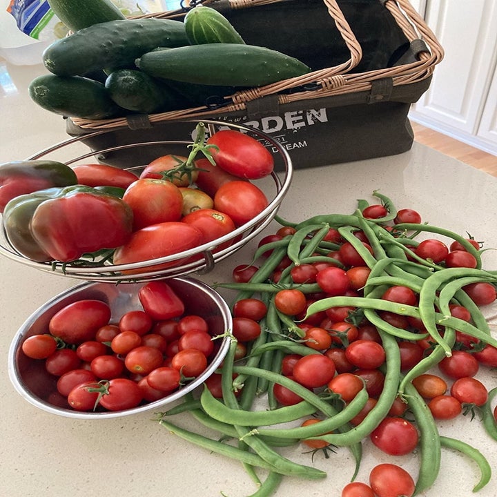 The 31 Best Gifts For Gardeners And Plant Parents