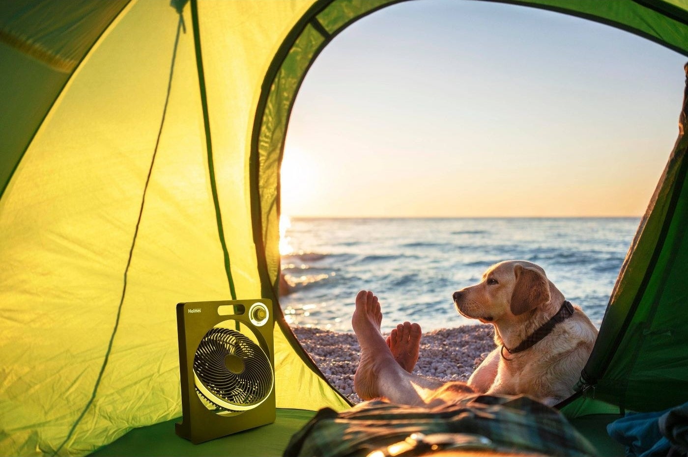 the fan in a green tent set up on the beach with a dog