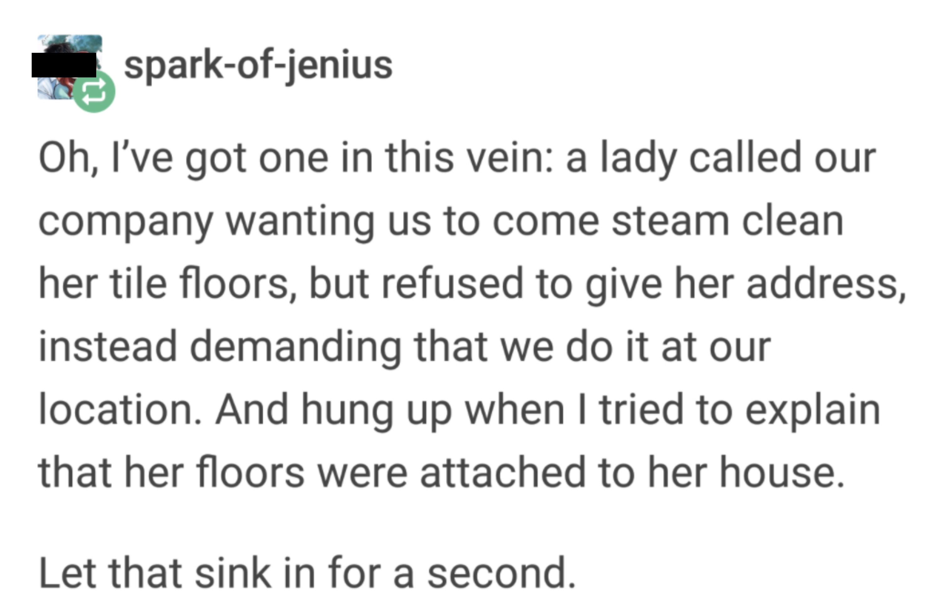 story about someone who doesn&#x27;t understand they can&#x27;t just get their tiles cleaned remotely