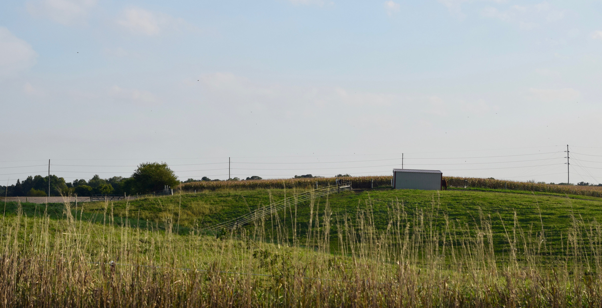 Farmland outside of Ames