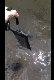 Reviewer dropping phone in the case into a streaming river