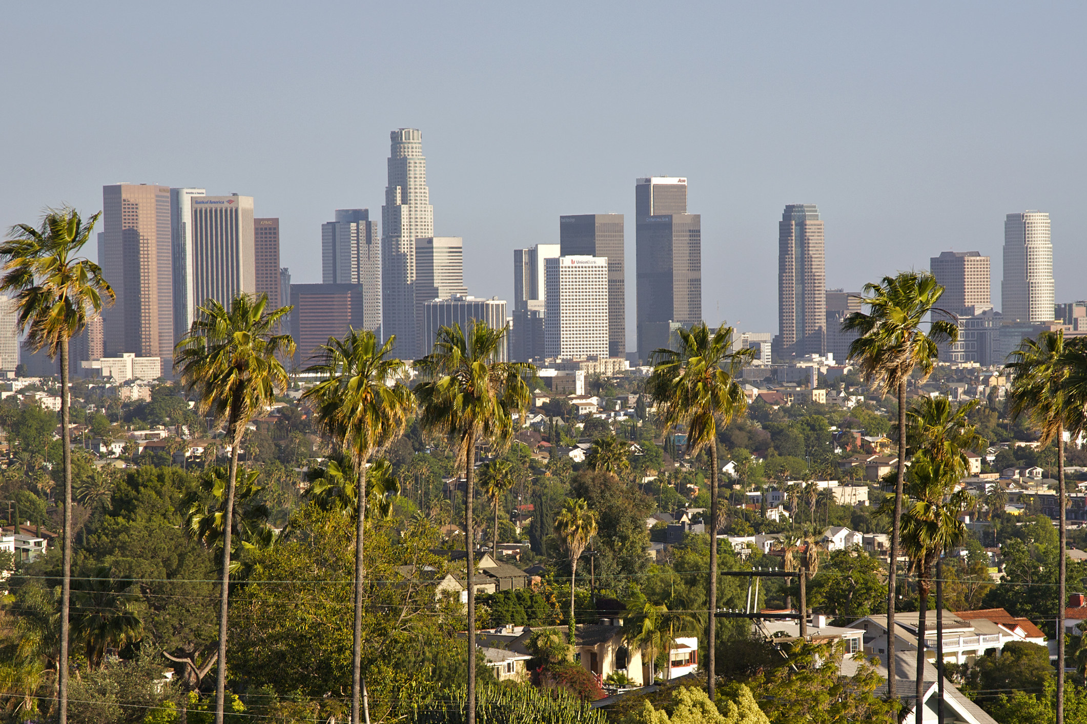 Los Angeles skyline seen through a row of palm trees