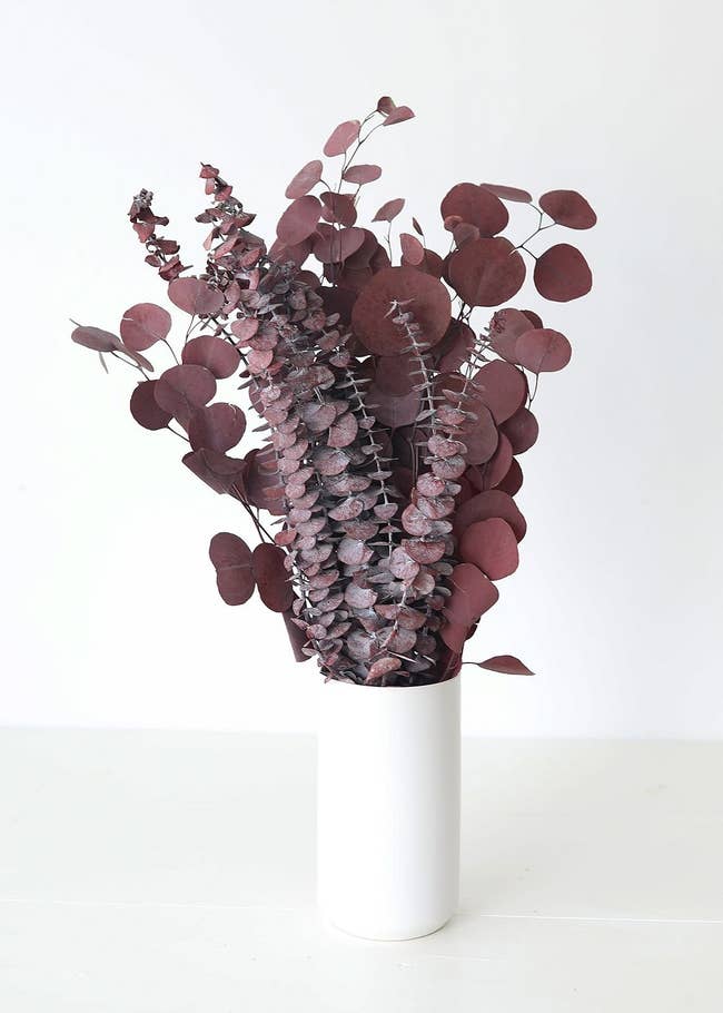 the burgundy eucalyptus arrangement in a white vase