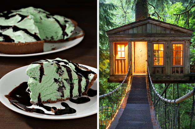 mint pie on the left and a tree house on the right