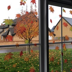 The leaves window clings in green, orange, red, and brown on a reviewer's window