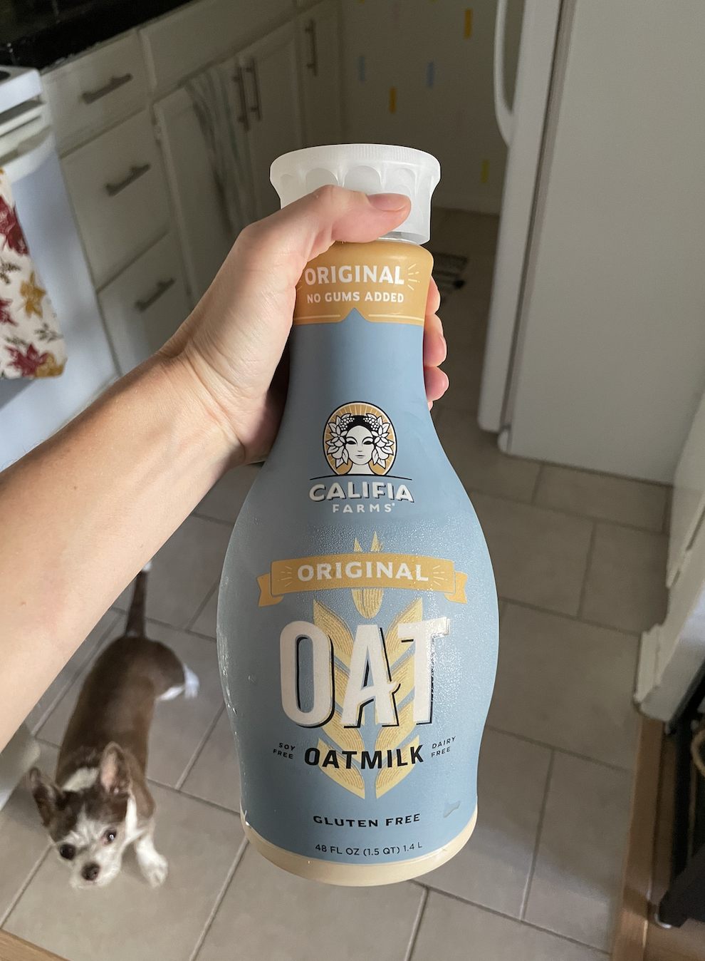 Taste Test: Best Oat Milk — City Girl Charm