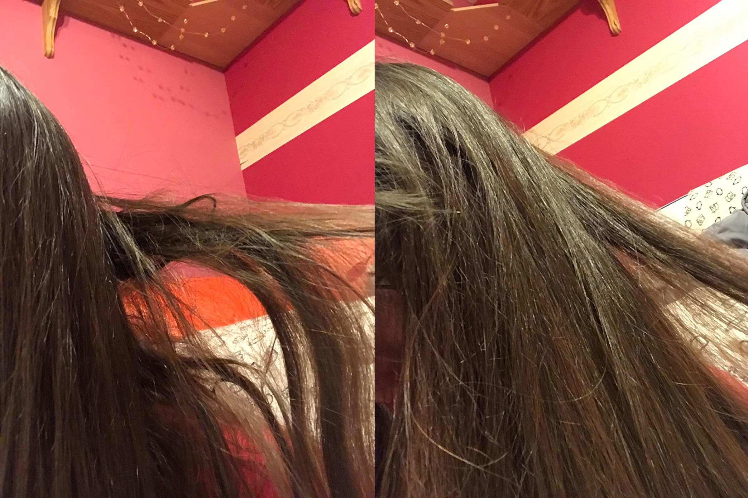 A reviewer&#x27;s matted hair before/after brushing out