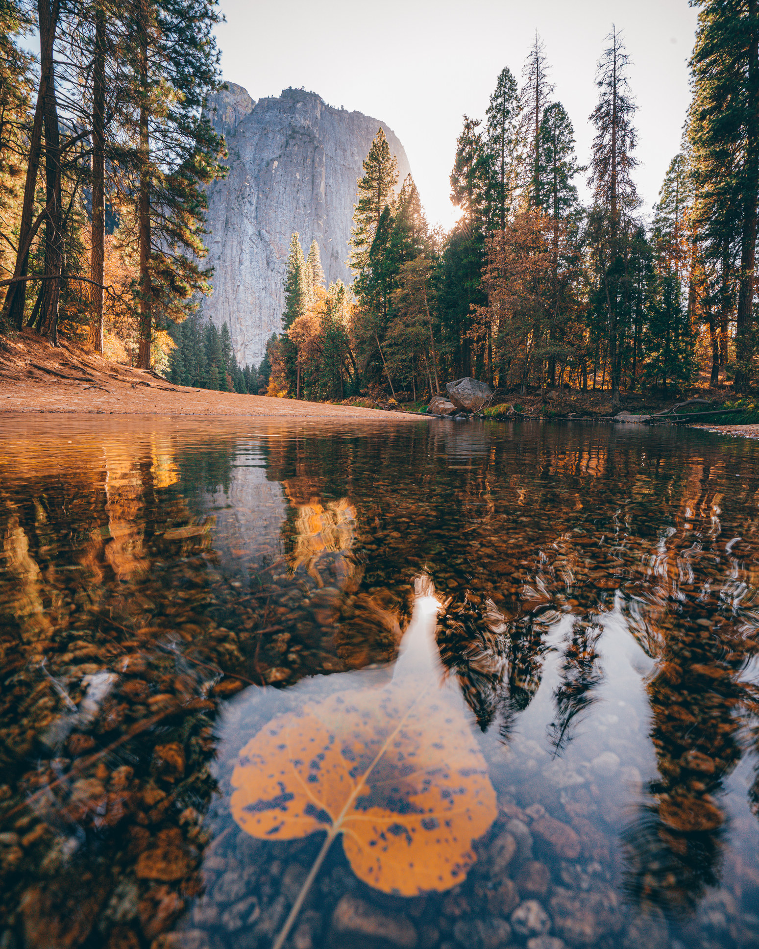 A beautiful view of Yosemite National Park.