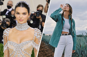 Kendall Jenner Explained The Story Behind The “Disrespectful” Dress She ...