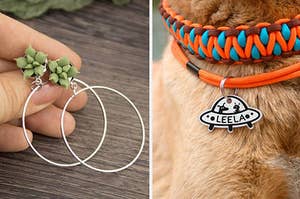 succulent earrings and a dog wearing a UFO-shaped tag