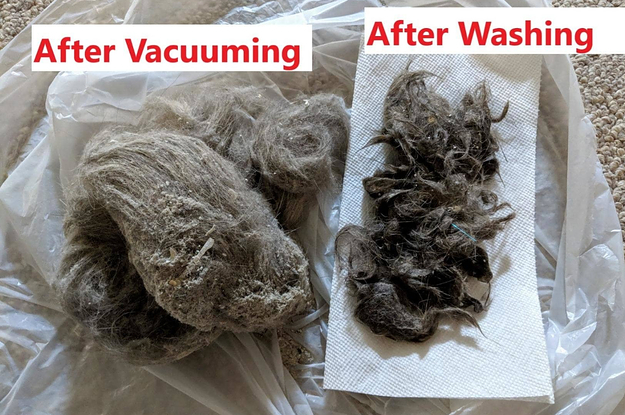 a large chunk of fur under a header that says '