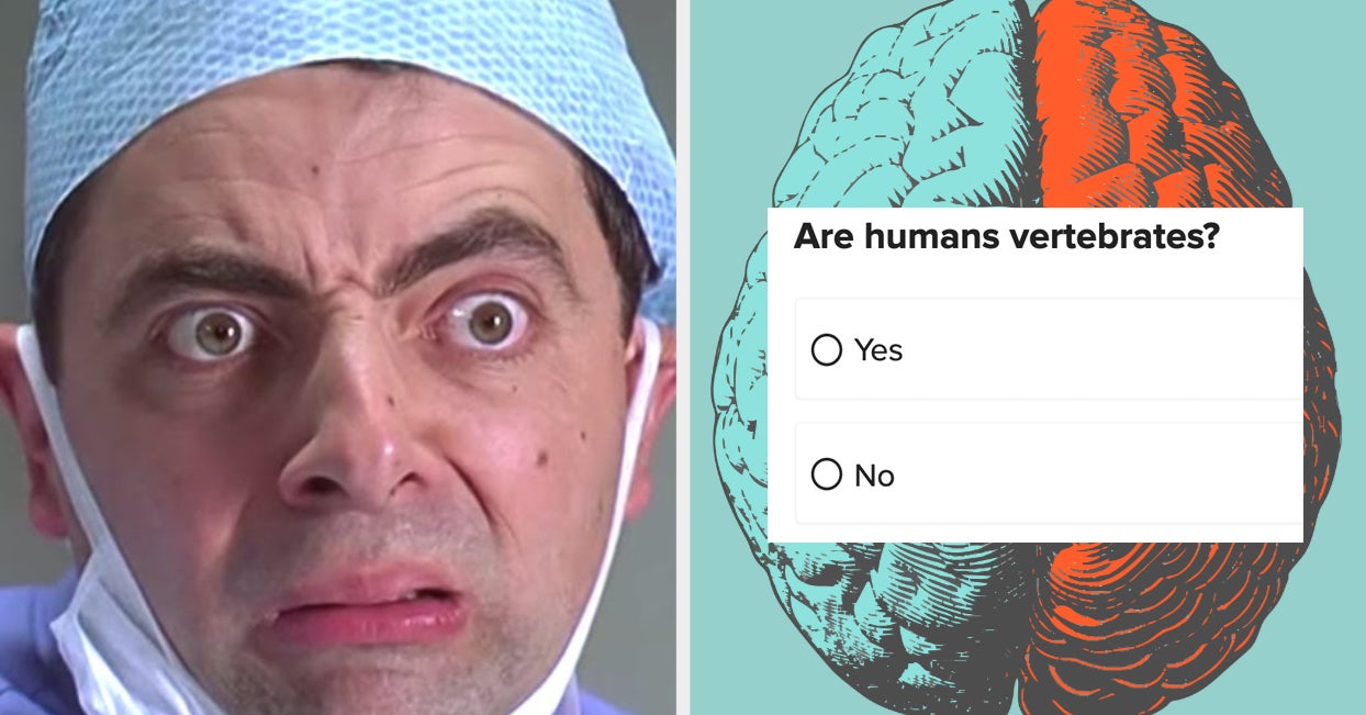 Whenever Someone Tells Me They Know A Lot About Biology, I Ask Them These 20 AP Bio Questions