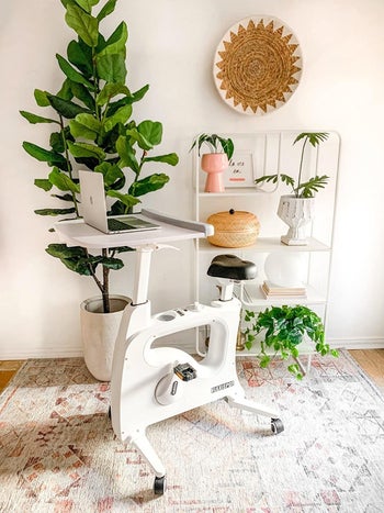white stationary desk bike with laptop on top in front of plant stand