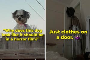 A dog with a human-like face and clothes hanging on a door that looks like a person