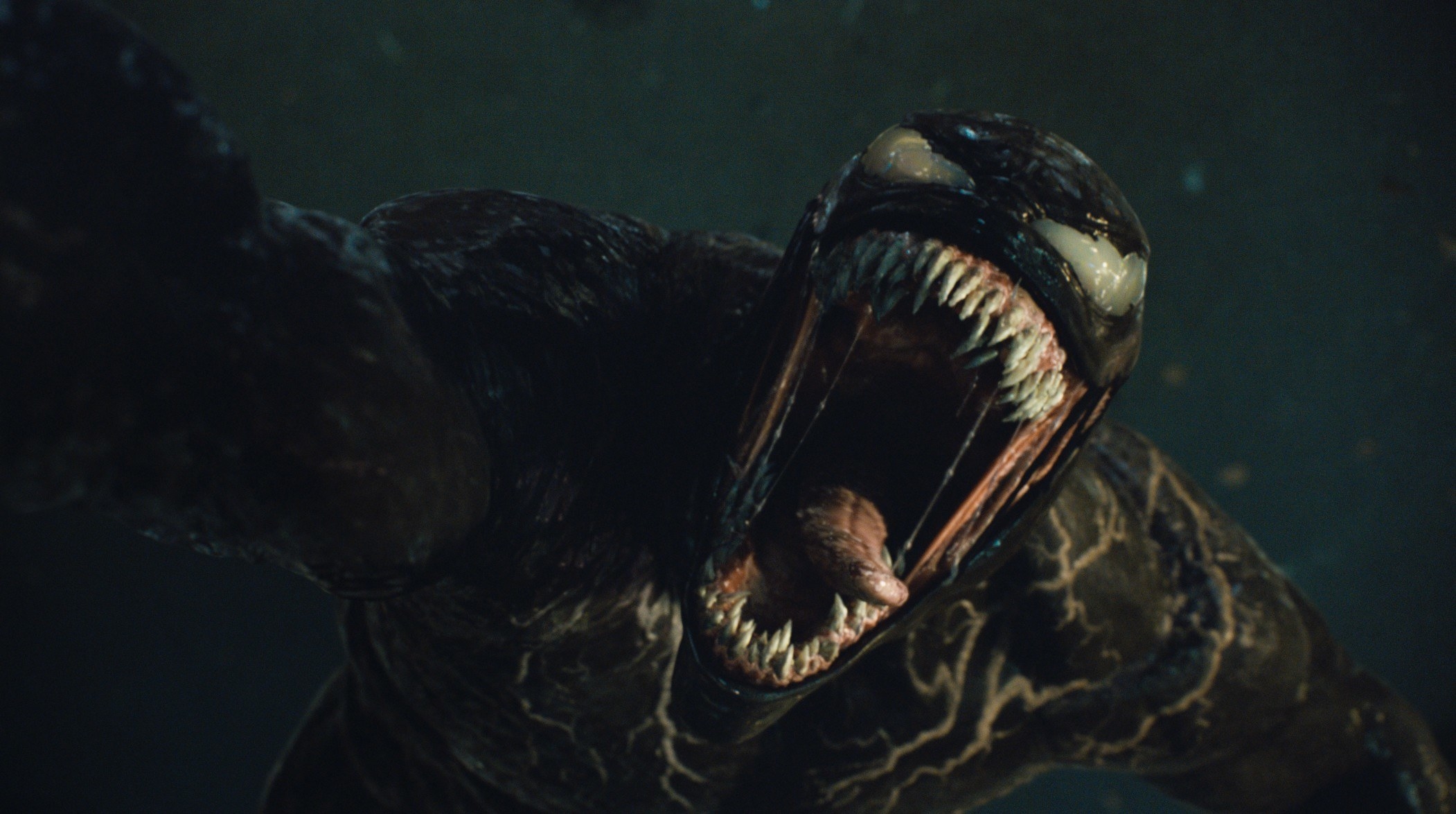 Venom with it&#x27;s mouth wide open