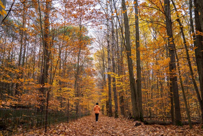 Person running in fall colors