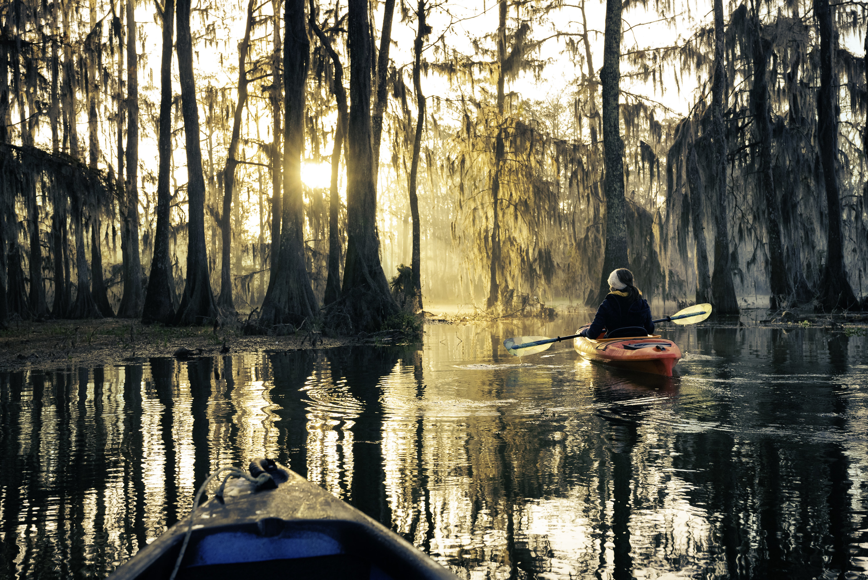 People kayaking in the bayou