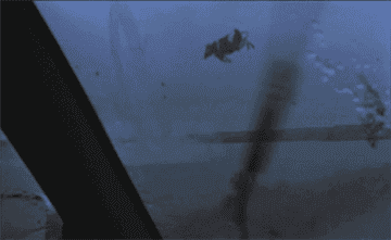 GIF off cow flying in tornado in the movie Twister