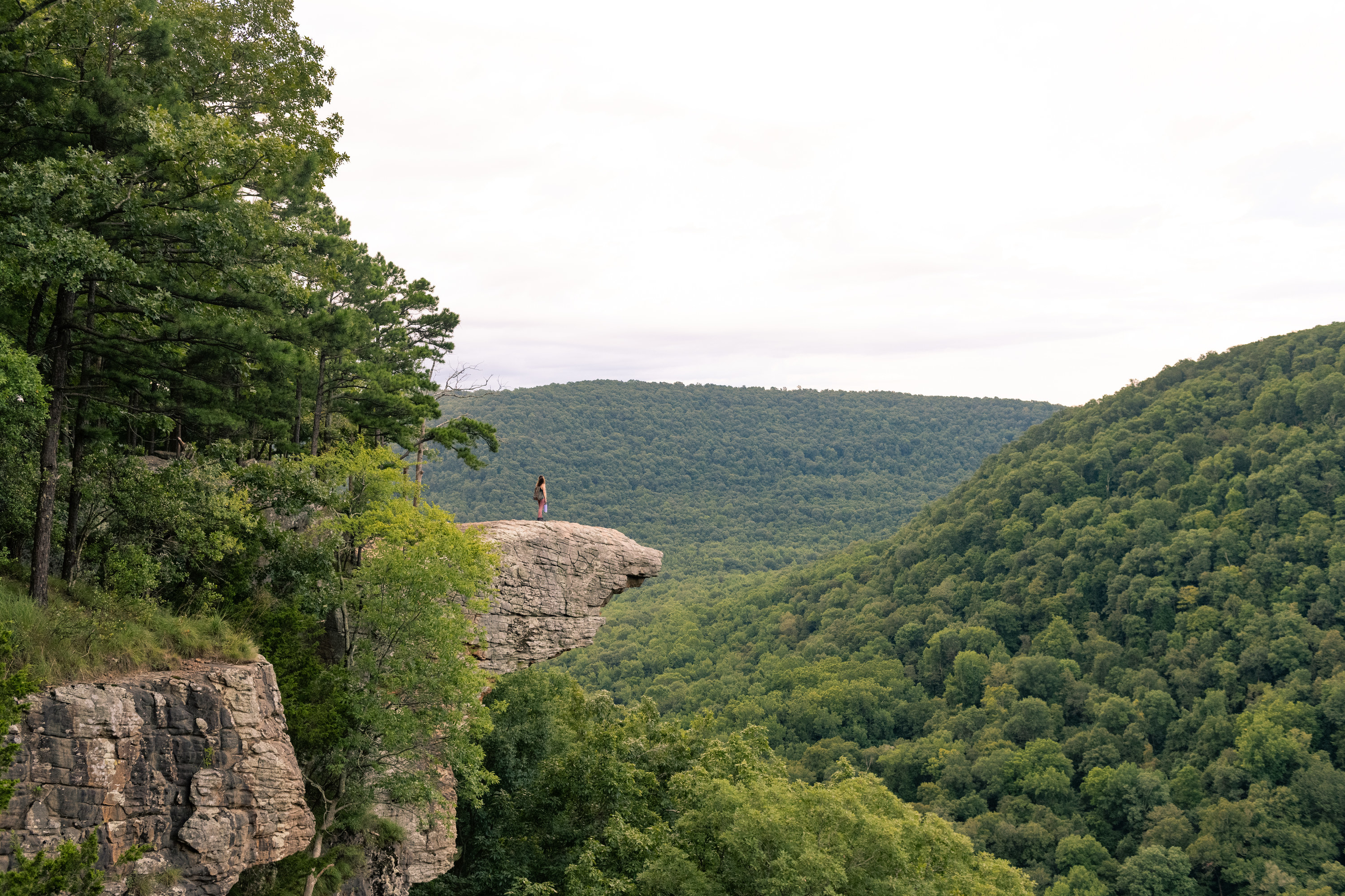 Person stands on a rock outcropping among green forest