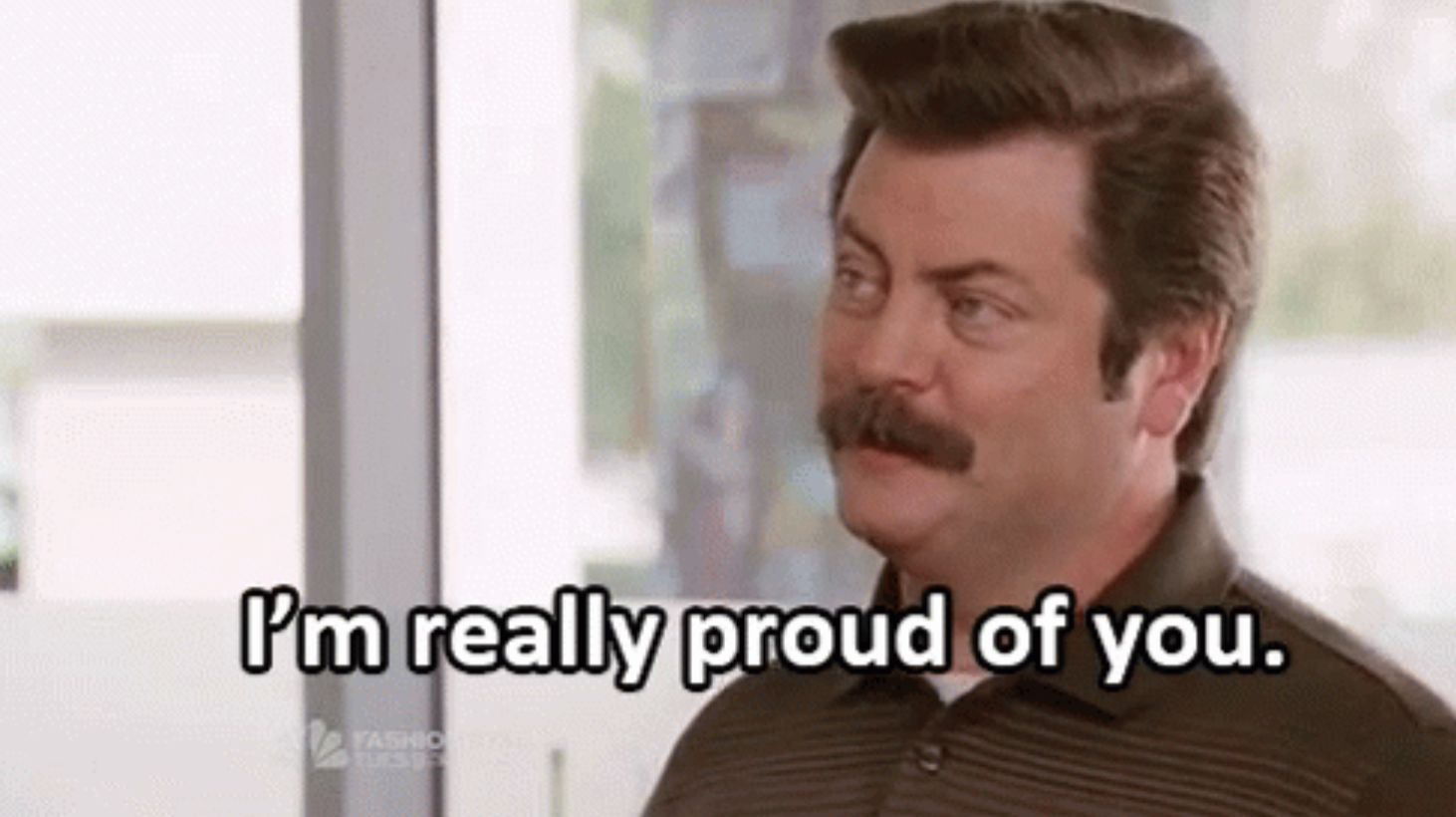 Ron Swanson from "Parks and Rec" saying, "I&...