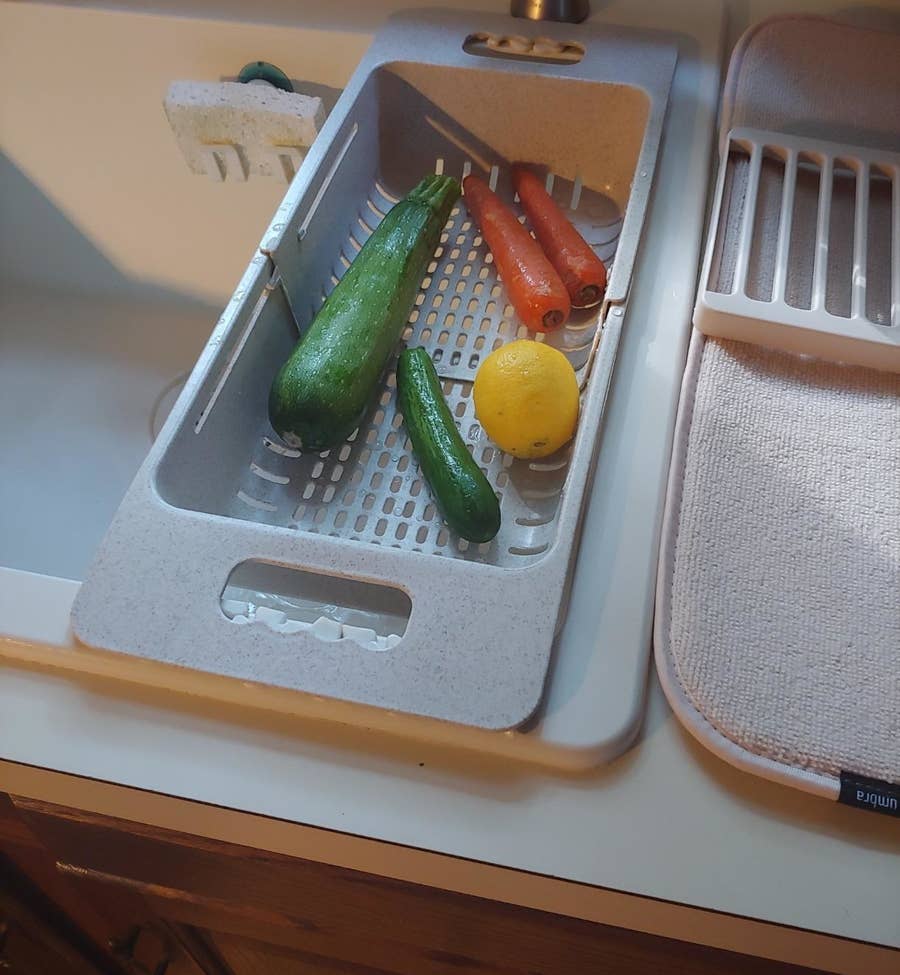 Us Plug Vegetable And Fruit Dryer Five Layer Drying Food - Temu