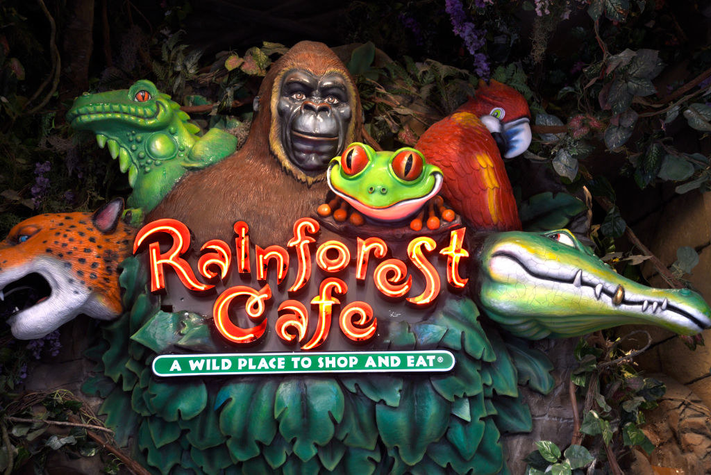 rainforest cafe entrance and sign