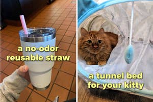 a reusable straw and a tunnel bed for cats