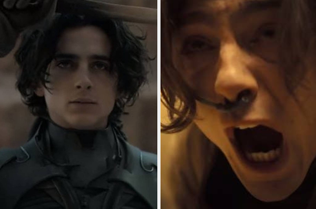 15 Reasons "Dune" Is Absolutely Worth Checking Out
