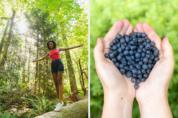 On the left, someone balancing on a log in a sunny clearing in the forest, and on the right, someone holding blueberries in their hands