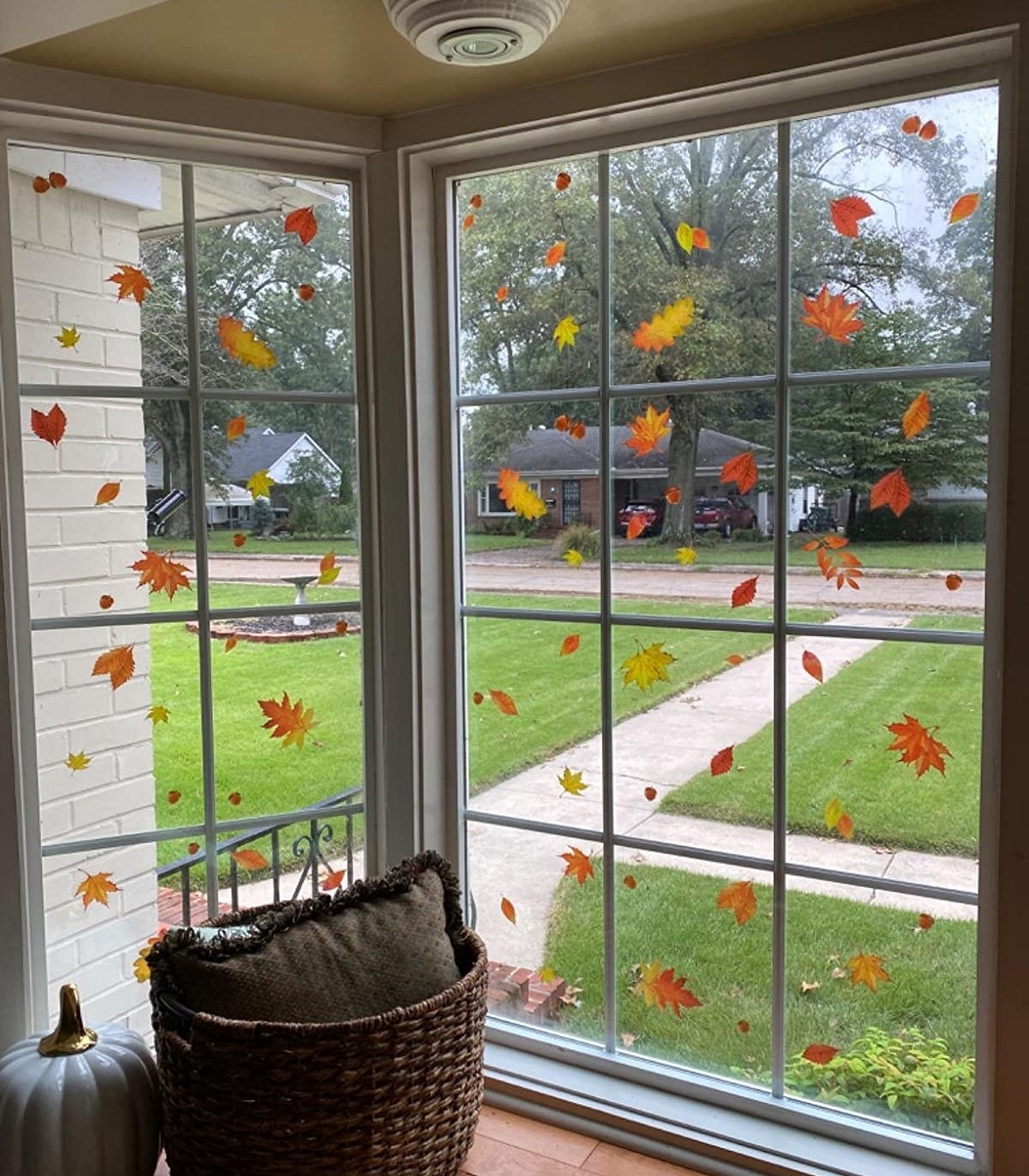 a reviewer&#x27;s window covered in the leaf window clings