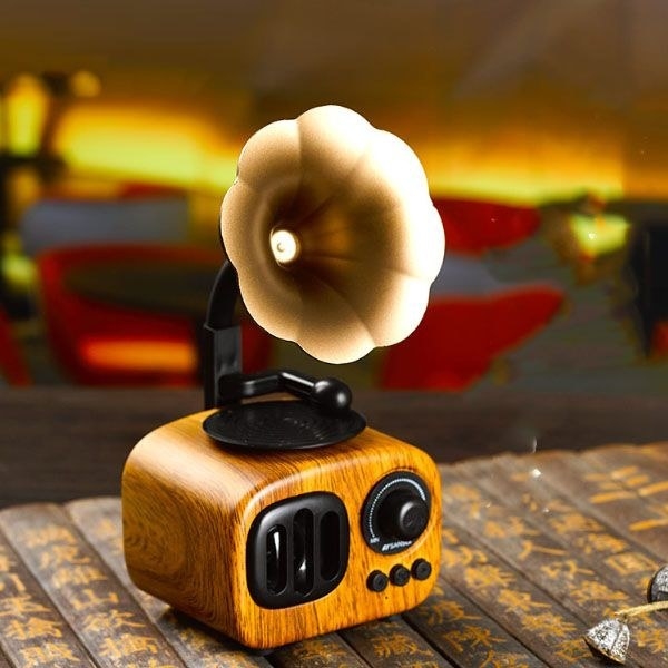 The small gramophone speaker