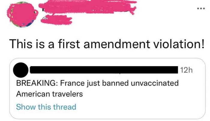 Person who says it&#x27;s a First Amendment violation for unvaccinated American travelers to be banned from France