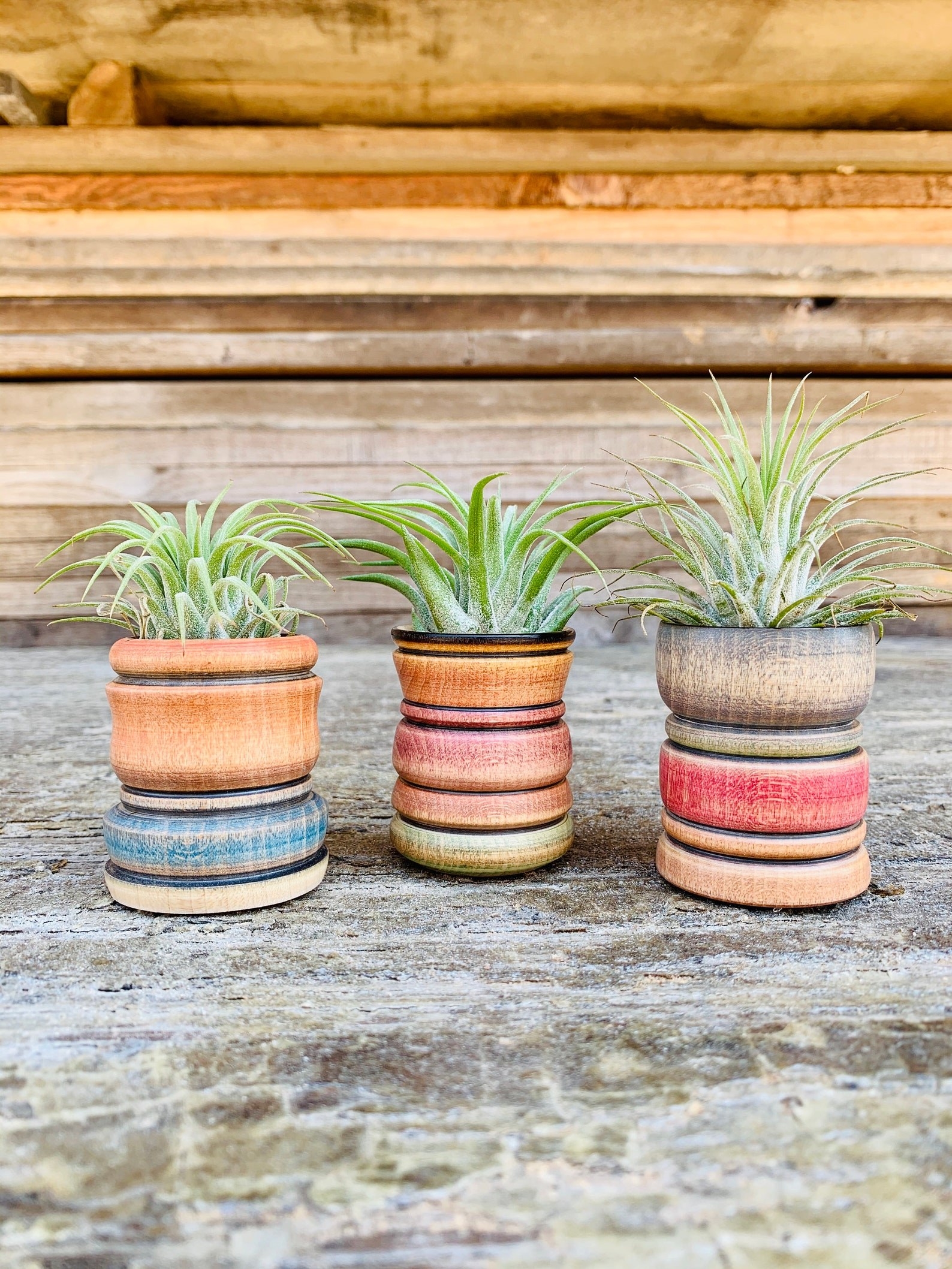 three colorful air plant holders
