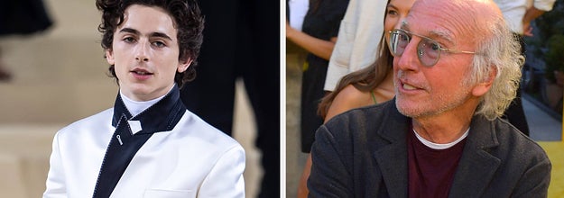 timothee chalamet, larry david