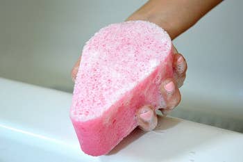 Model holding shower sponge