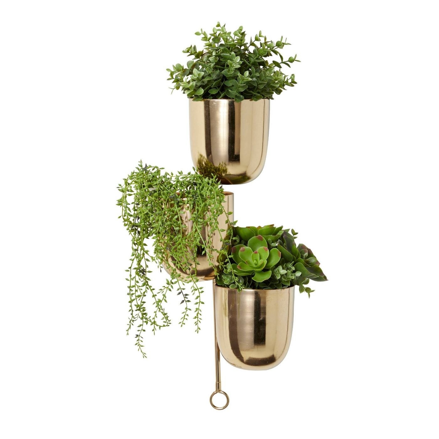 The gold plater with three plastic plants