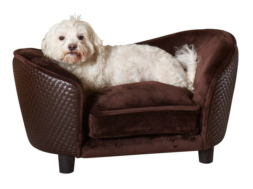 A dog on the brown sofa-like dog bed