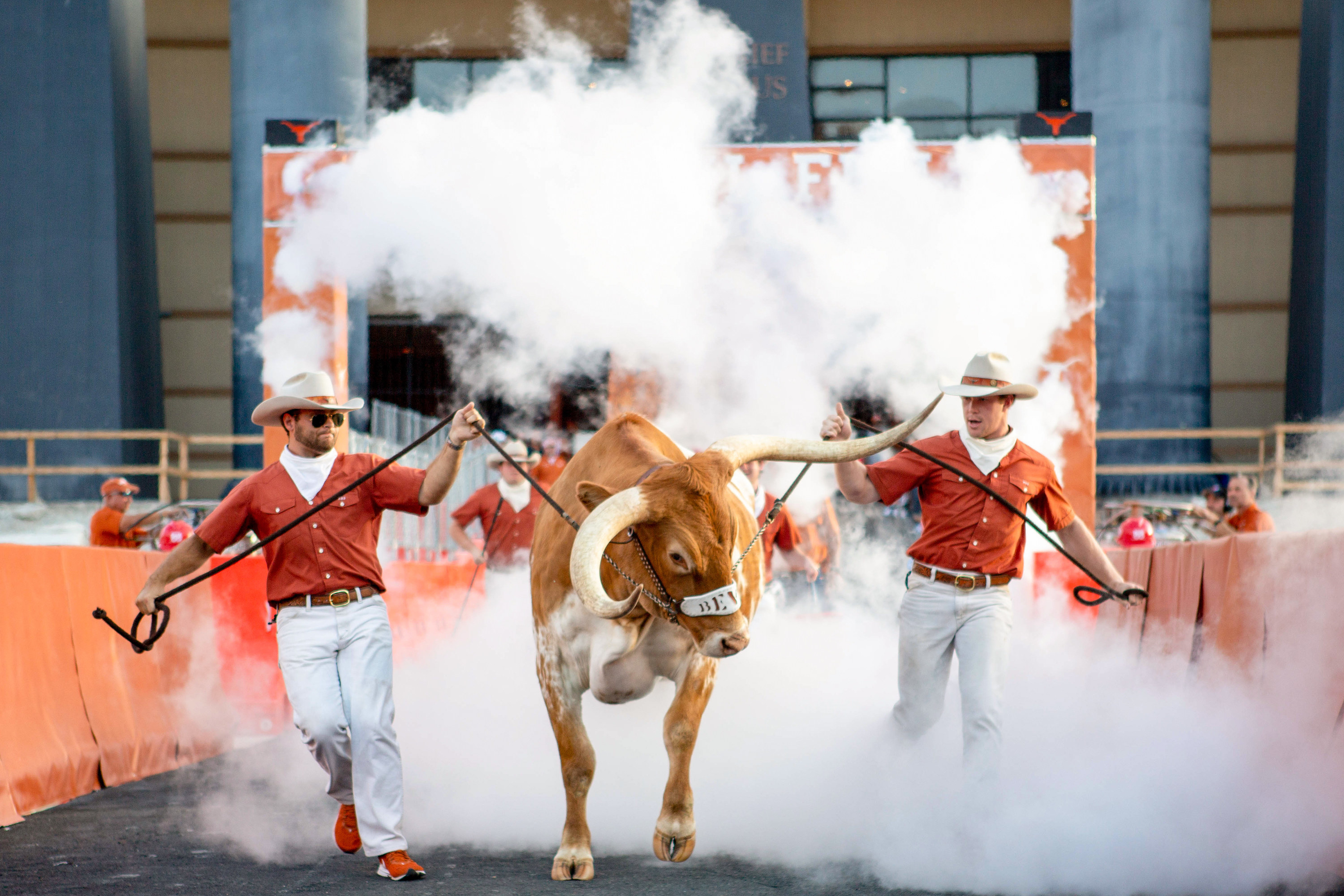 A Texas longhorn emerges from smoke on the field at a Texas football game