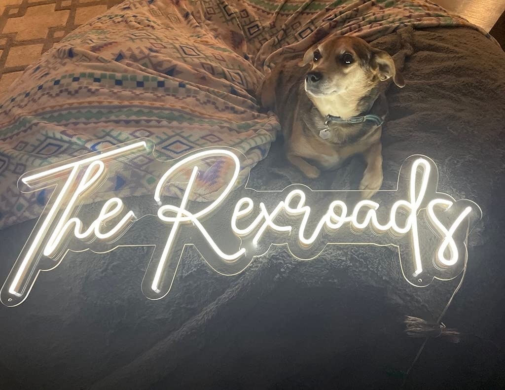 a white neon sign reading "the rexroads" on a blanket next to a small dog