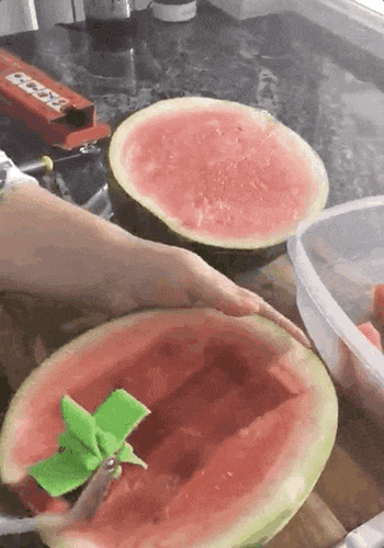 a reviewer gif of someone using the slicer to cube watermelon 