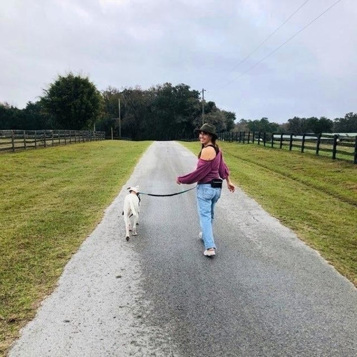 The leash, which has a loop around the human's waist, and then connects to the dog's collar or harness via a bungee leash