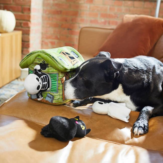 dog plays with plush haunted house with cat, ghost, and skeleton toys