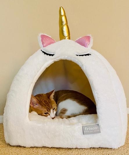 A reviewer&#x27;s cat snuggled in the unicorn bed