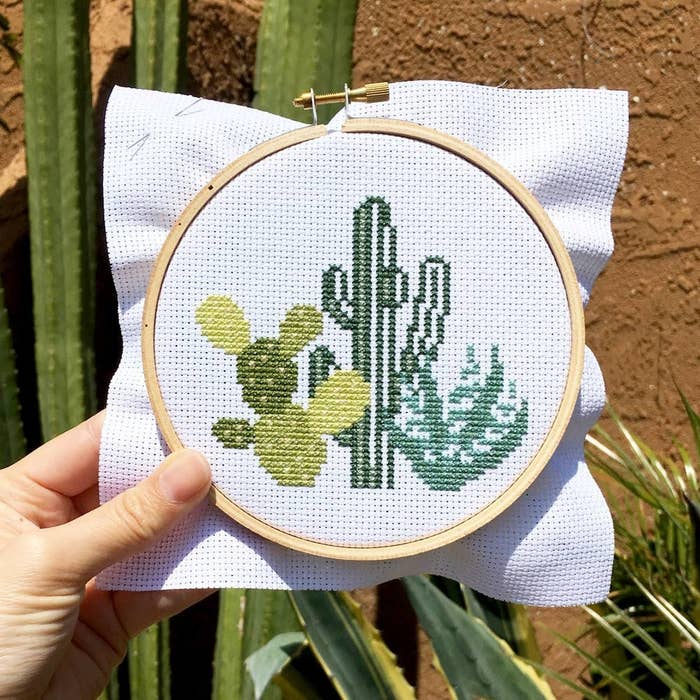 Person is holding a cross stitch of a bunch of cacti